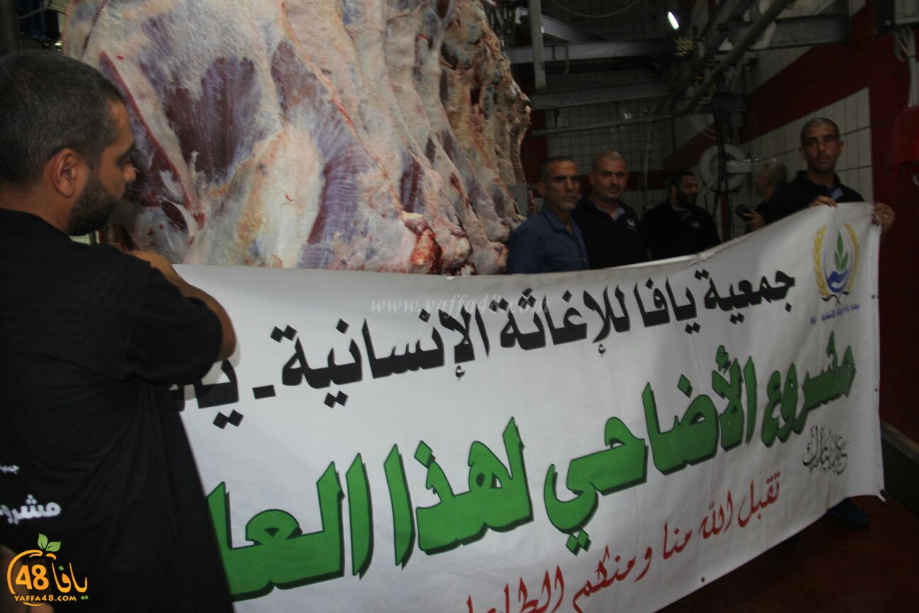 jam3iya yaffa 3ojolej (29).jpg